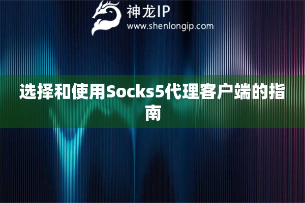選擇和使用Socks5代理客戶端的指南
