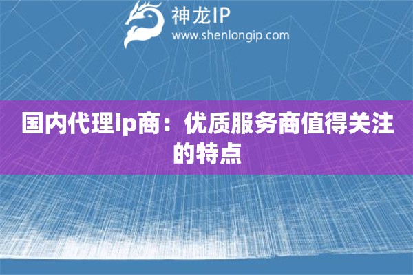 國內(nèi)代理ip商：優(yōu)質(zhì)服務商值得關注的特點