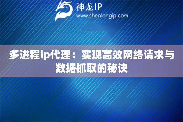 多進(jìn)程ip代理：實(shí)現(xiàn)高效網(wǎng)絡(luò)請(qǐng)求與數(shù)據(jù)抓取的秘訣