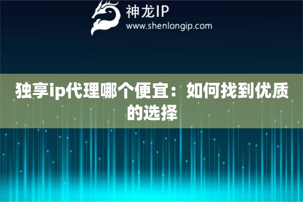 獨(dú)享ip代理哪個(gè)便宜：如何找到優(yōu)質(zhì)的選擇