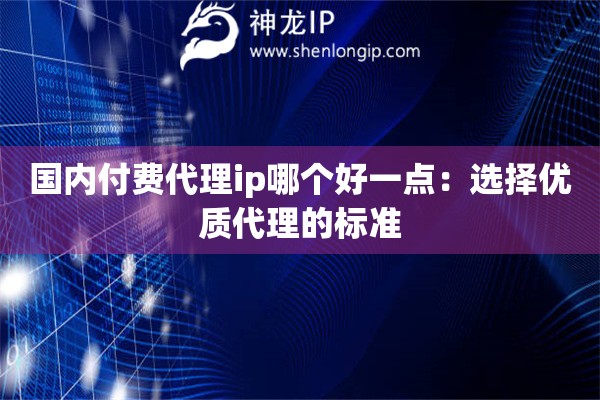 國內(nèi)付費代理ip哪個好一點：選擇優(yōu)質(zhì)代理的標準