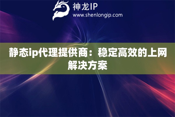靜態(tài)ip代理提供商：穩(wěn)定高效的上網(wǎng)解決方案