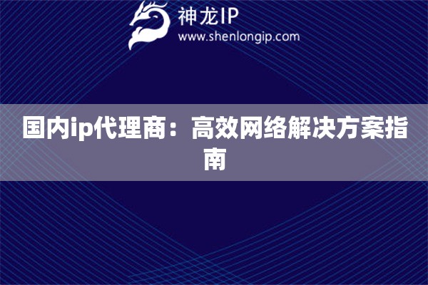 國內ip代理商：高效網絡解決方案指南