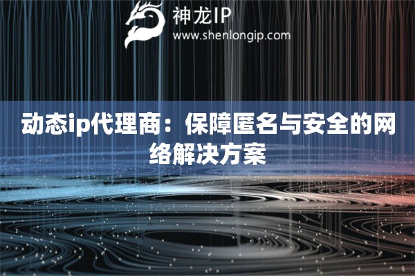 動態ip代理商：保障匿名與安全的網絡解決方案