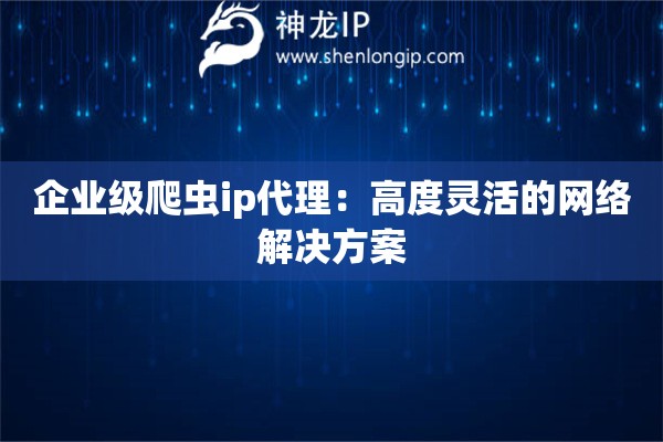 企業(yè)級爬蟲ip代理：高度靈活的網(wǎng)絡(luò)解決方案