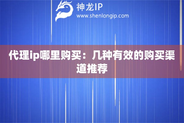 代理ip哪里購買：幾種有效的購買渠道推薦