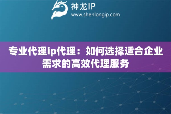 專業(yè)代理ip代理：如何選擇適合企業(yè)需求的高效代理服務(wù)