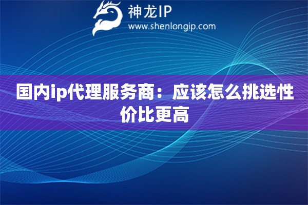 國內ip代理服務商：應該怎么挑選性價比更高