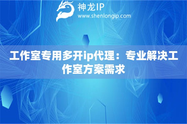 工作室專用多開(kāi)ip代理：專業(yè)解決工作室方案需求