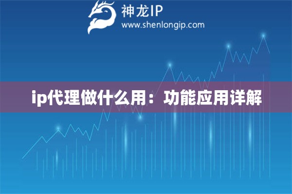ip代理做什么用：功能應(yīng)用詳解