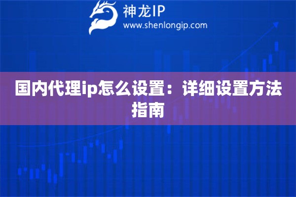 國內(nèi)代理ip怎么設置：詳細設置方法指南