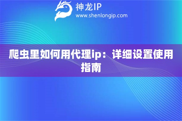 爬蟲里如何用代理ip：詳細設置使用指南