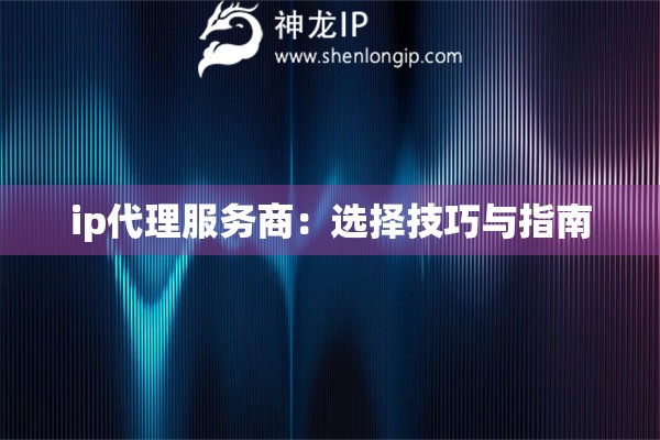 ip代理服務商：選擇技巧與指南