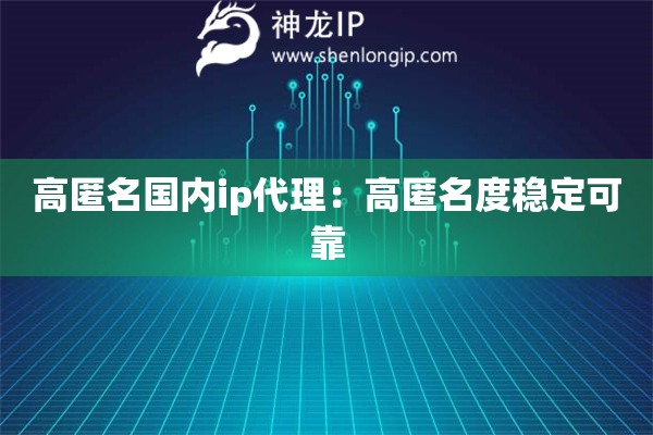 高匿名國內ip代理：高匿名度穩定可靠
