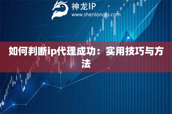 如何判斷ip代理成功：實用技巧與方法