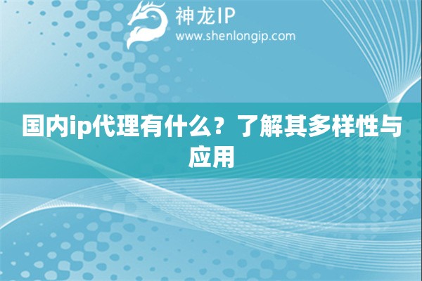 國內ip代理有什么？了解其多樣性與應用