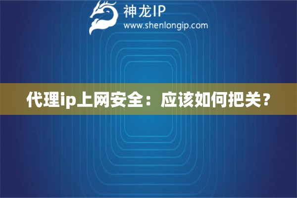 代理ip上網安全：應該如何把關？