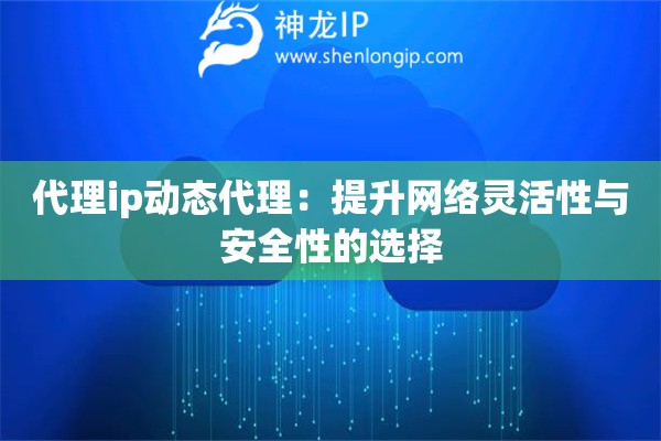代理ip動(dòng)態(tài)代理：提升網(wǎng)絡(luò)靈活性與安全性的選擇
