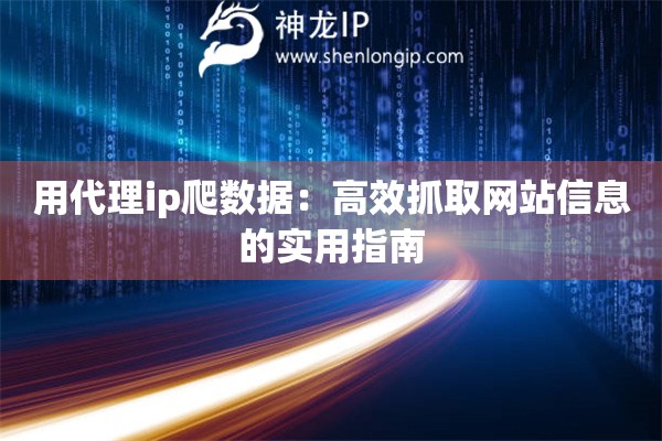 用代理ip爬數(shù)據(jù)：高效抓取網(wǎng)站信息的實(shí)用指南