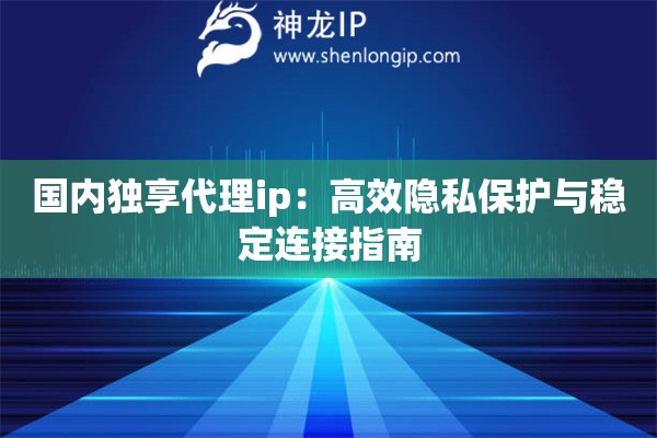 國內(nèi)獨享代理ip：高效隱私保護與穩(wěn)定連接指南