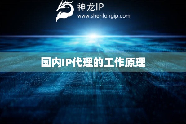 國內(nèi)IP代理的工作原理