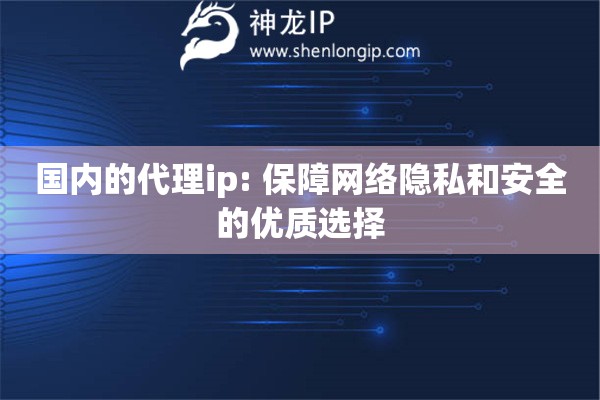 國內(nèi)的代理ip: 保障網(wǎng)絡隱私和安全的優(yōu)質(zhì)選擇