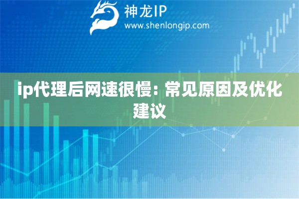 ip代理后網(wǎng)速很慢: 常見原因及優(yōu)化建議