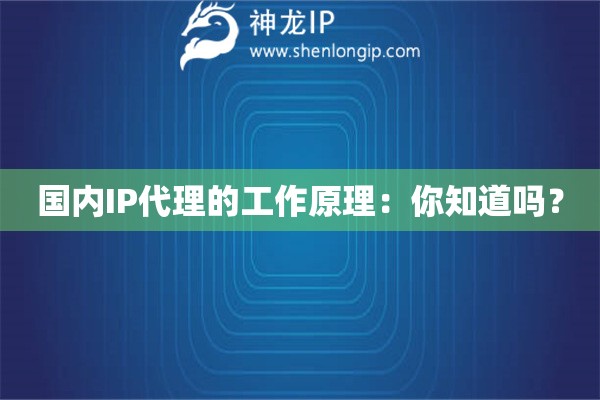 國(guó)內(nèi)IP代理的工作原理：你知道嗎？