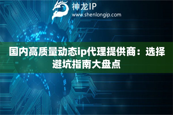 國(guó)內(nèi)高質(zhì)量動(dòng)態(tài)ip代理提供商：選擇避坑指南大盤(pán)點(diǎn)