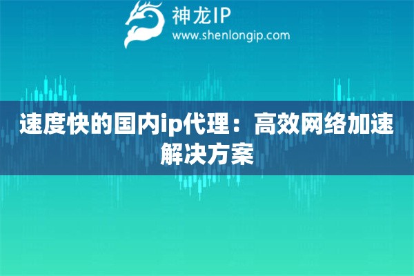 速度快的國(guó)內(nèi)ip代理：高效網(wǎng)絡(luò)加速解決方案