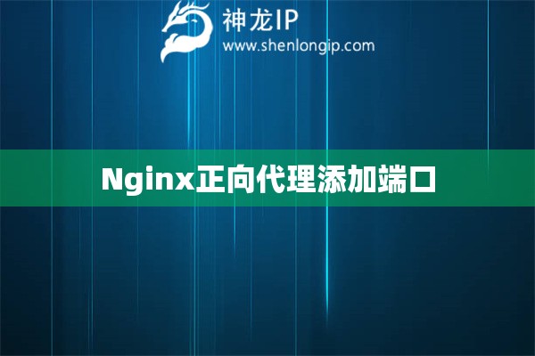 Nginx正向代理添加端口