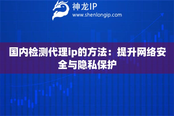 國內(nèi)檢測代理ip的方法：提升網(wǎng)絡(luò)安全與隱私保護(hù)