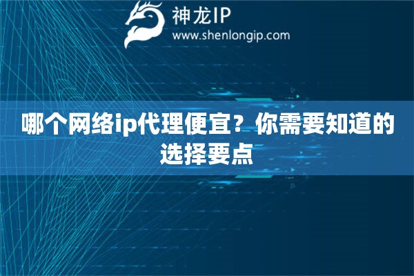哪個(gè)網(wǎng)絡(luò)ip代理便宜？你需要知道的選擇要點(diǎn)