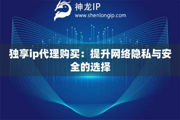 獨(dú)享ip代理購(gòu)買：提升網(wǎng)絡(luò)隱私與安全的選擇