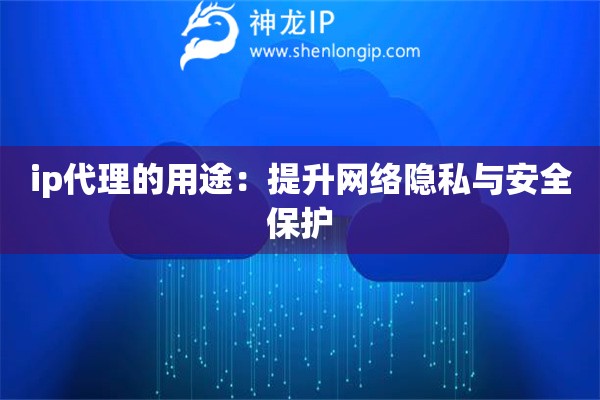 ip代理的用途：提升網(wǎng)絡(luò)隱私與安全保護(hù)