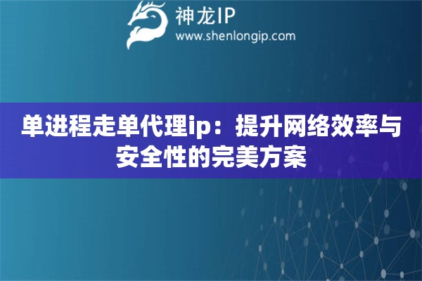 單進(jìn)程走單代理ip：提升網(wǎng)絡(luò)效率與安全性的完美方案