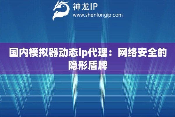 國(guó)內(nèi)模擬器動(dòng)態(tài)ip代理：網(wǎng)絡(luò)安全的隱形盾牌