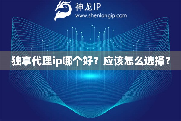 獨享代理ip哪個好？應該怎么選擇？