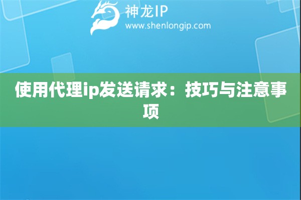 使用代理ip發(fā)送請求：技巧與注意事項