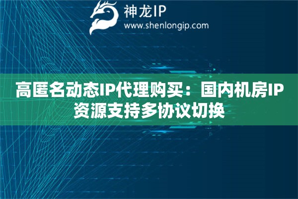 高匿名動態IP代理購買：國內機房IP資源支持多協議切換