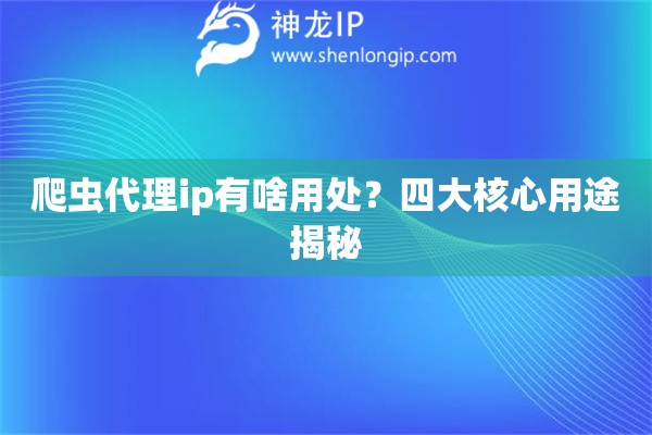 爬蟲代理ip有啥用處？四大核心用途揭秘