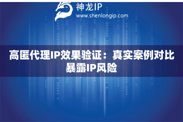高匿代理IP效果驗證：真實案例對比暴露IP風險