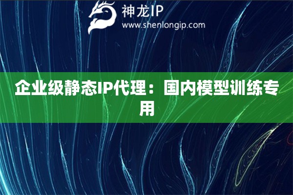 企業(yè)級靜態(tài)IP代理：國內(nèi)模型訓(xùn)練專用