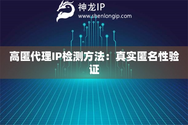 高匿代理IP檢測方法：真實匿名性驗證