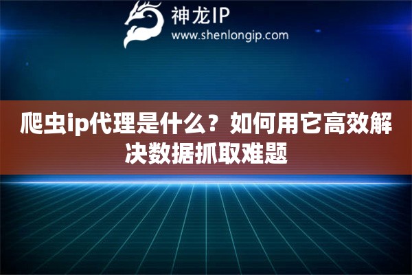 爬蟲ip代理是什么？如何用它高效解決數(shù)據(jù)抓取難題