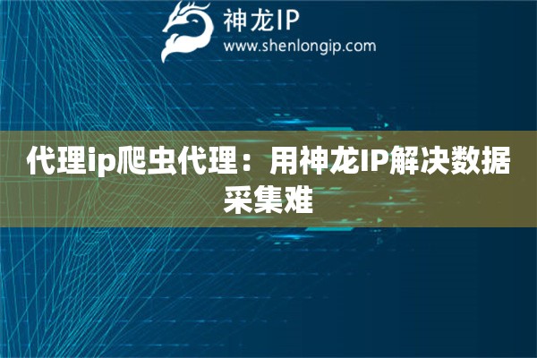 代理ip爬蟲代理：用神龍IP解決數據采集難