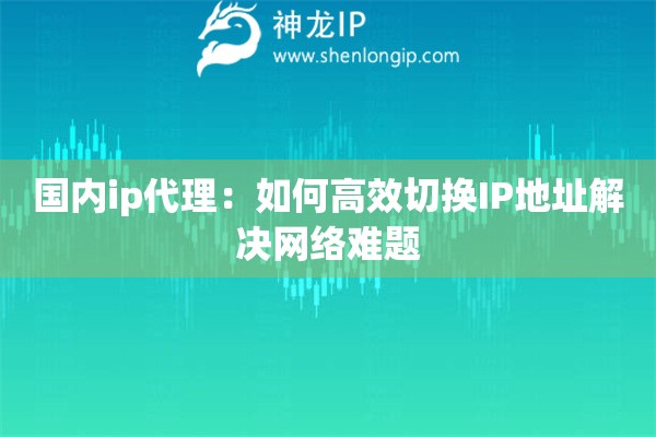 國(guó)內(nèi)ip代理：如何高效切換IP地址解決網(wǎng)絡(luò)難題