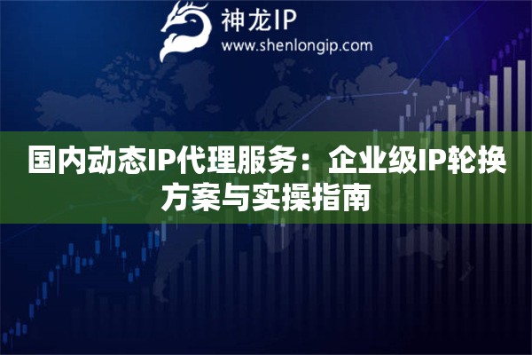 國(guó)內(nèi)動(dòng)態(tài)IP代理服務(wù)：企業(yè)級(jí)IP輪換方案與實(shí)操指南