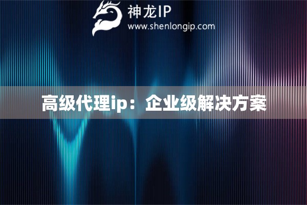 高級代理ip：企業級解決方案