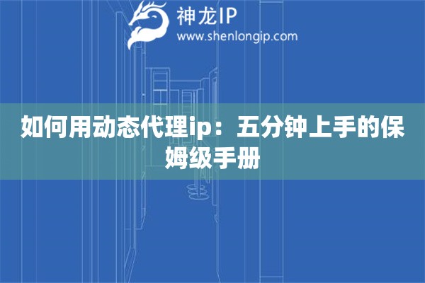 如何用動(dòng)態(tài)代理ip：五分鐘上手的保姆級手冊